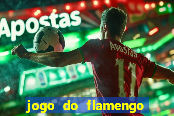 jogo do flamengo online multi